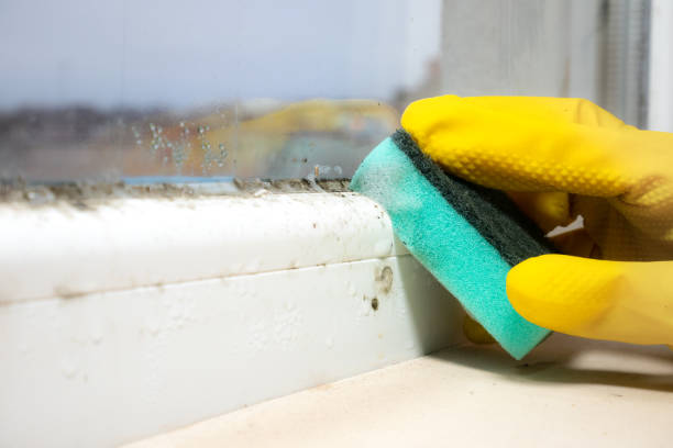 Best Mold Cleaning Services  in Seabrook Farms, NJ