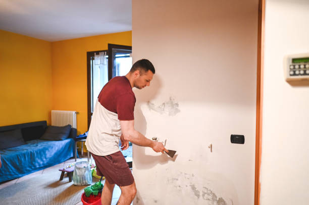 Best Mold Cleaning Services  in Seabrook Farms, NJ